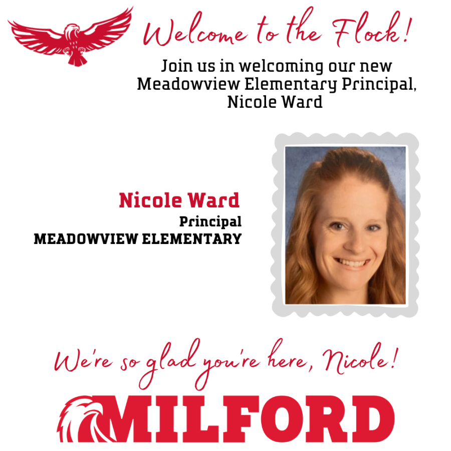 New Meadowview Principal Nicole Ward